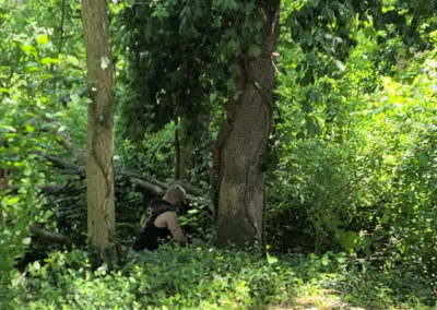 Tony cutting the big tree