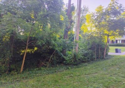 Tree edge