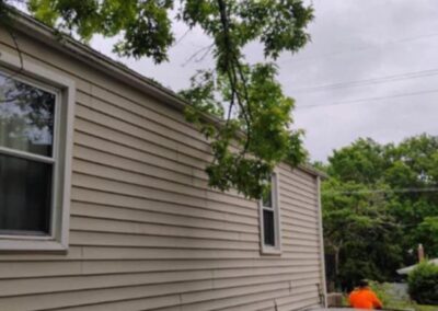Tree over house