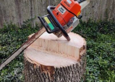 Tool of the trade... The Chainsaw